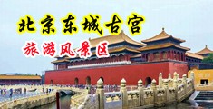 靓女骚货在求操中国北京-东城古宫旅游风景区